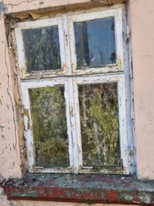 Zniszczone, stare okno z łuszczącą się farbą i roślinnością w środku.