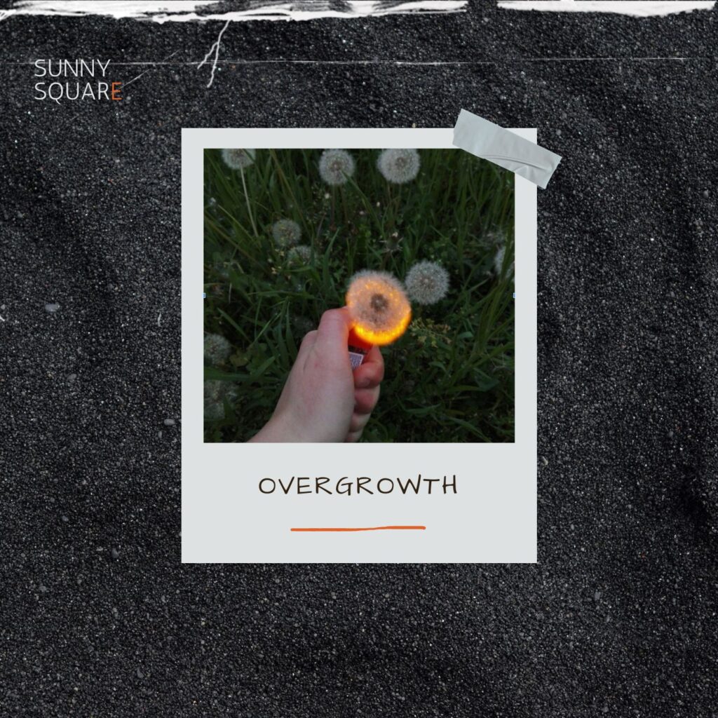 Okładka albumu muzycznego fikcyjnego zespołu Sunny Square- dłoń podpalająca zapalniczką kwiat dmuchawca na łące.
