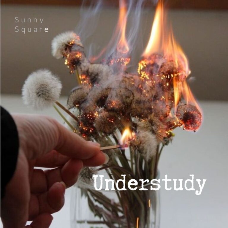 Okładka albumu muzycznego fikcyjnego zespołu Sunny Square- dłoń podpalająca zapałką bukiet dmuchawców.